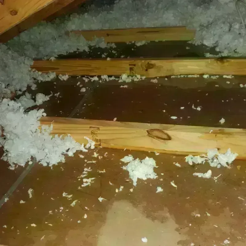 Attic Water Damage in Windber, PA